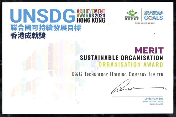 UNSDG 2024 Award Winner DG  2